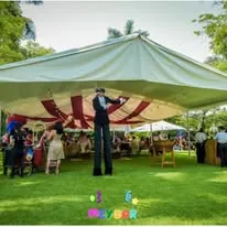 Animación con personaje en fiesta